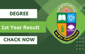NU Degree 1st Year Result 2024