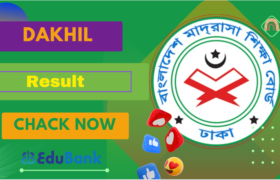 Dakhil Result With Marksheet