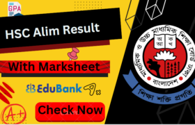 HSC Alim Result With Marksheet 2024